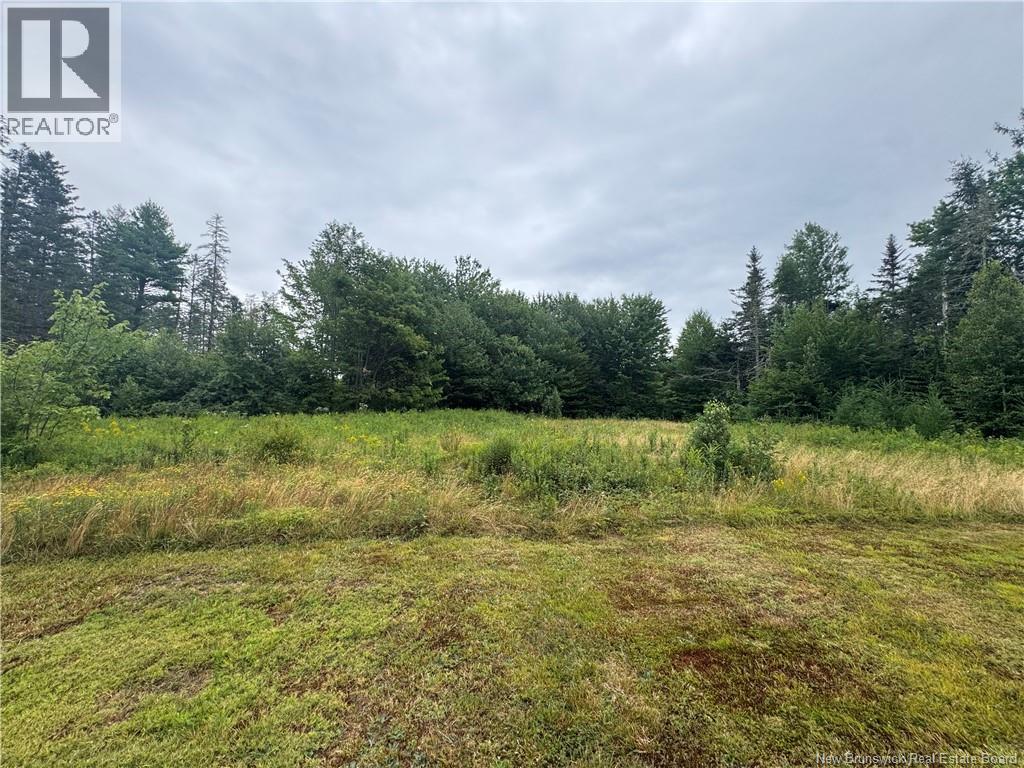 . Upper Waweig Road, Waweig, New Brunswick  E3L 4N5 - Photo 38 - NB146009