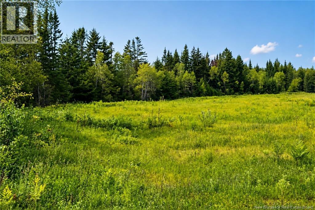 Center Avenue, Pennfield, New Brunswick  E5H 2K4 - Photo 4 - NB146249