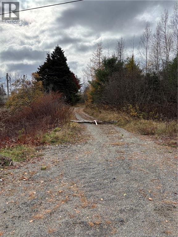 682 Boyd Road, Elmsville, New Brunswick E5A 1M8 - Photo 2 - NB147169