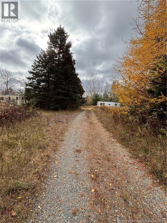 682 Boyd Road, Elmsville, New Brunswick E5A 1M8 - Photo 3 - NB147169