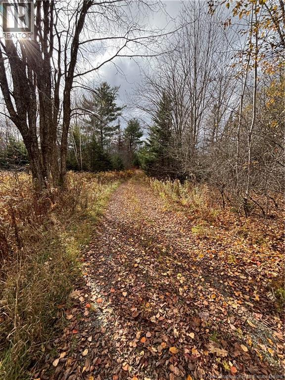 682 Boyd Road, Elmsville, New Brunswick E5A 1M8 - Photo 4 - NB147169