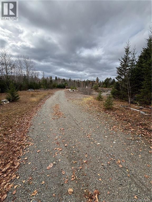 682 Boyd Road, Elmsville, New Brunswick E5A 1M8 - Photo 5 - NB147169