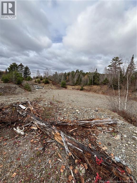 682 Boyd Road, Elmsville, New Brunswick E5A 1M8 - Photo 7 - NB147169