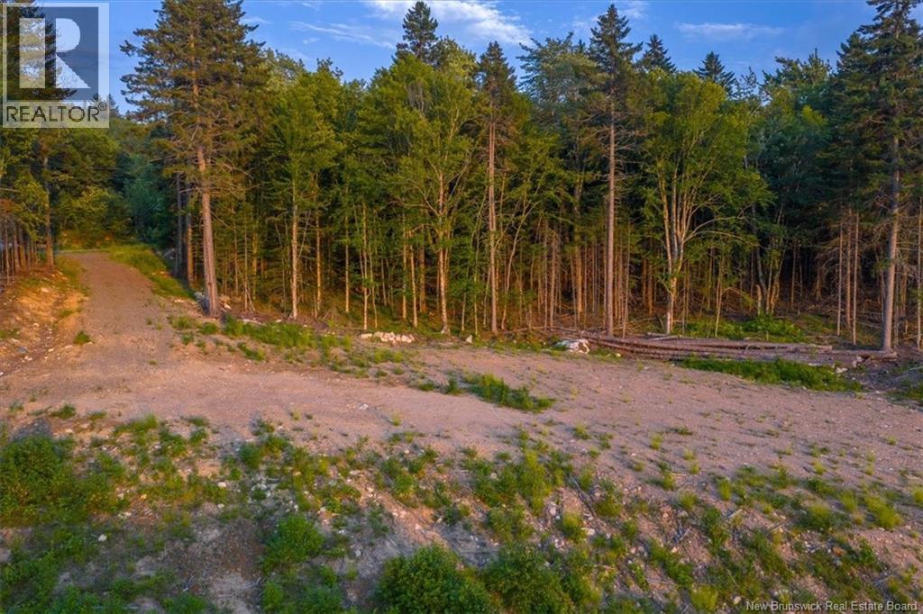 Lot Canal Road, St George, New Brunswick  E5C 1H6 - Photo 11 - NB147761