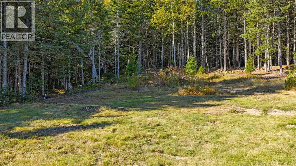 338 Route 176, Pennfield, New Brunswick E5H 2L6 - Photo 38 - NB147945