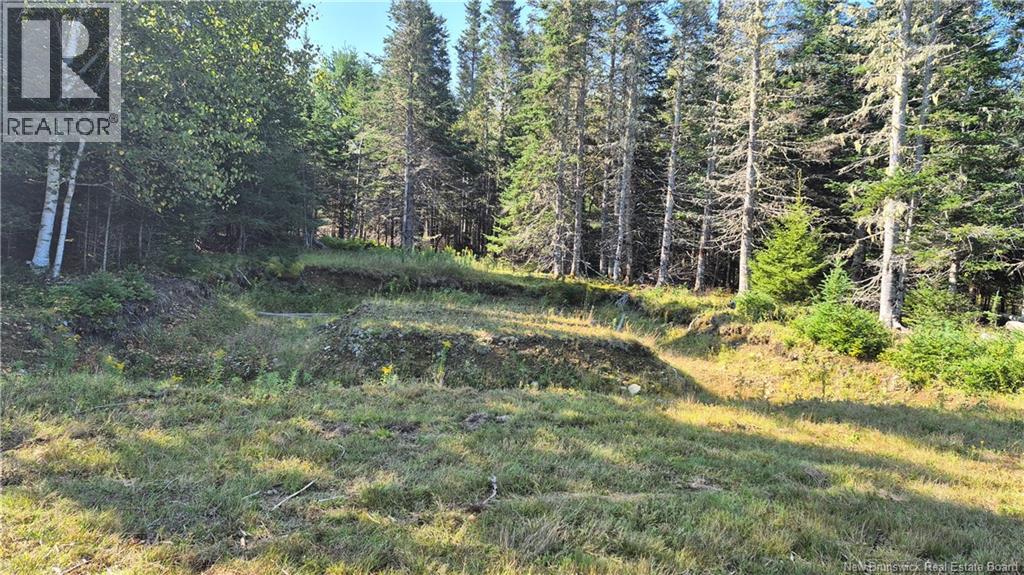 67 Hannah Road, Dufferin, New Brunswick E3L 3S3 - Photo 7 - NB147063