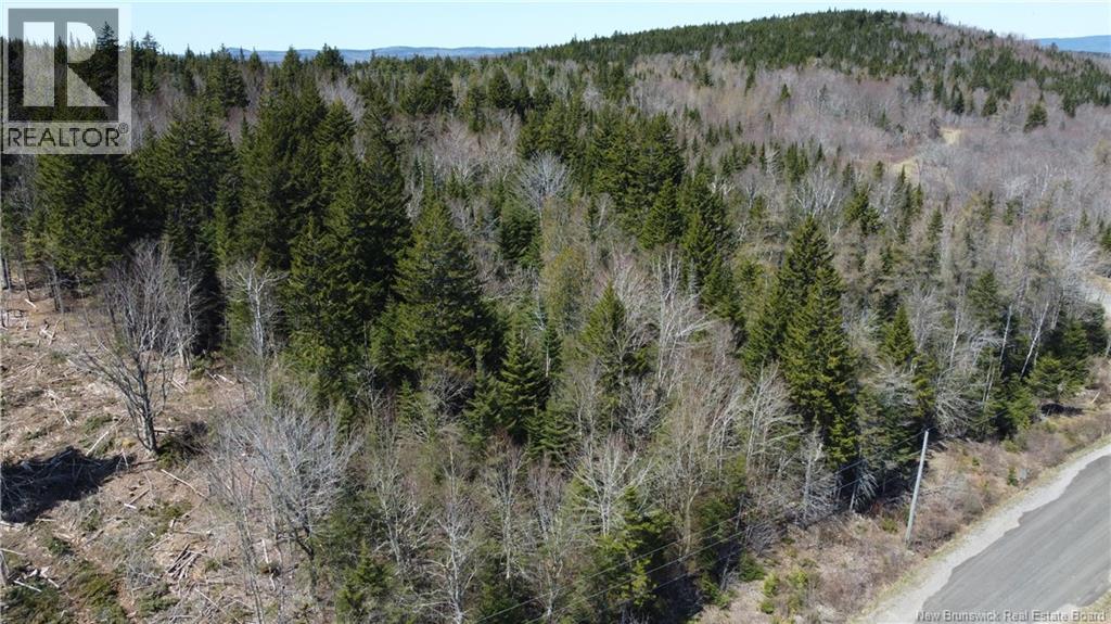 Highland Road, Grand Bay-Westfield, New Brunswick  E5K 1K1 - Photo 6 - NB148227