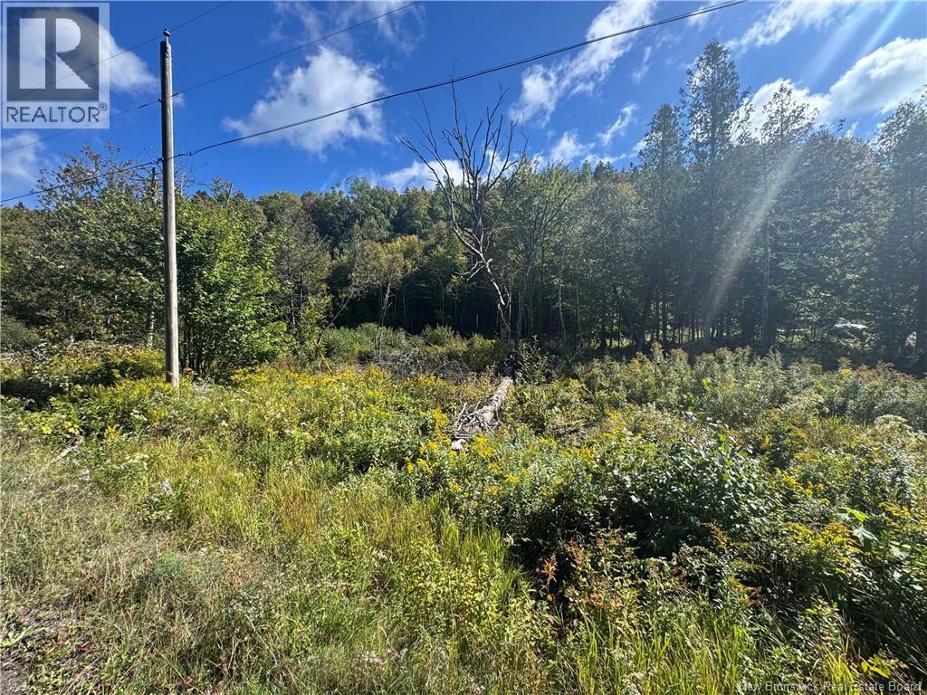 Frye Road, Chamcook, New Brunswick