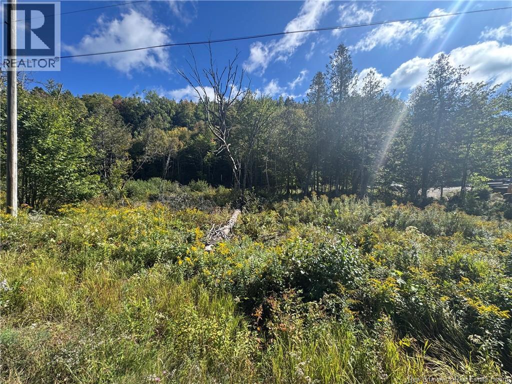 Frye Road, Chamcook, New Brunswick E5B 0C4 - Photo 2 - NB148245