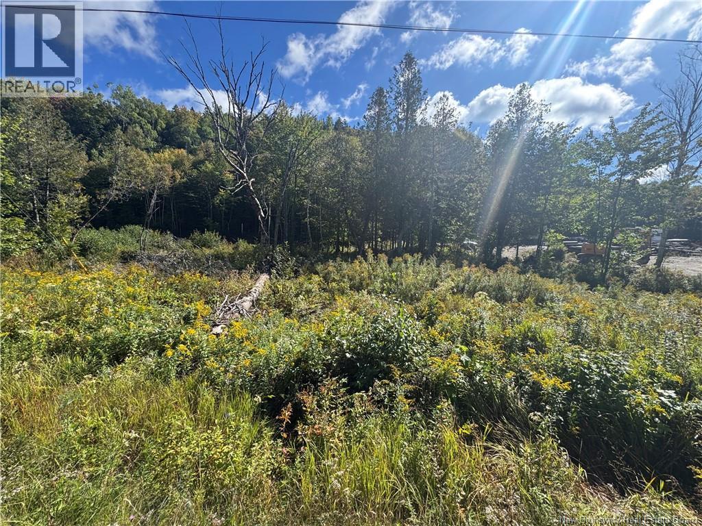Frye Road, Chamcook, New Brunswick E5B 0C4 - Photo 3 - NB148245