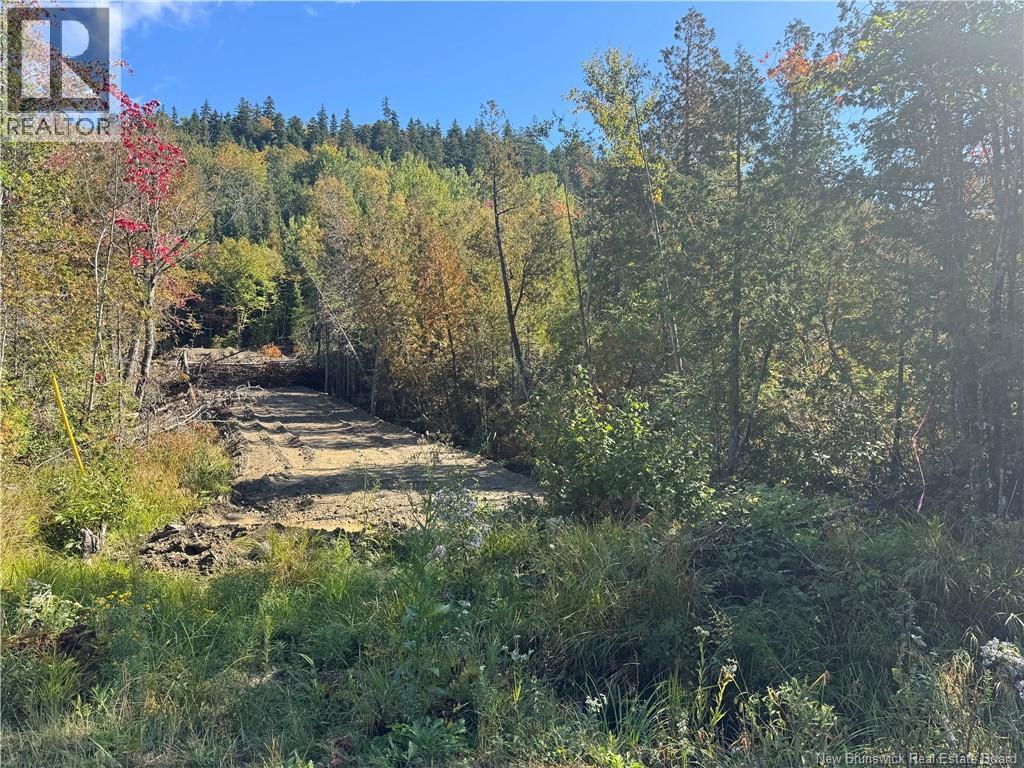 Frye Road, Chamcook, New Brunswick E5B 0C4 - Photo 2 - NB148236