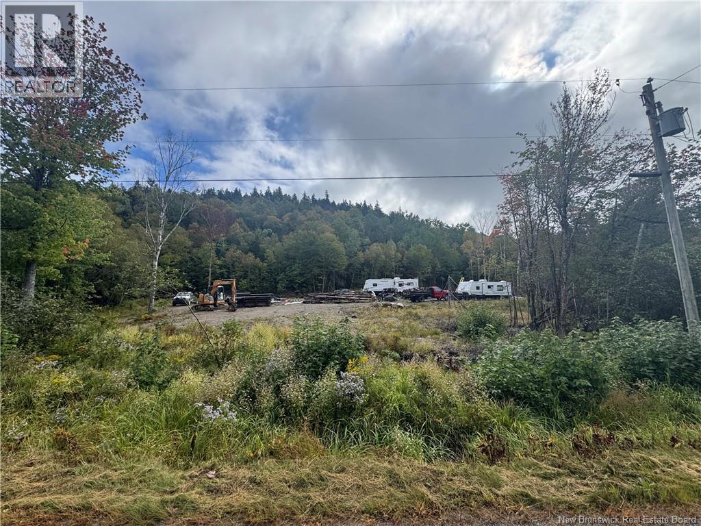 Frye Road, Chamcook, New Brunswick E5B 0C4 - Photo 4 - NB148236