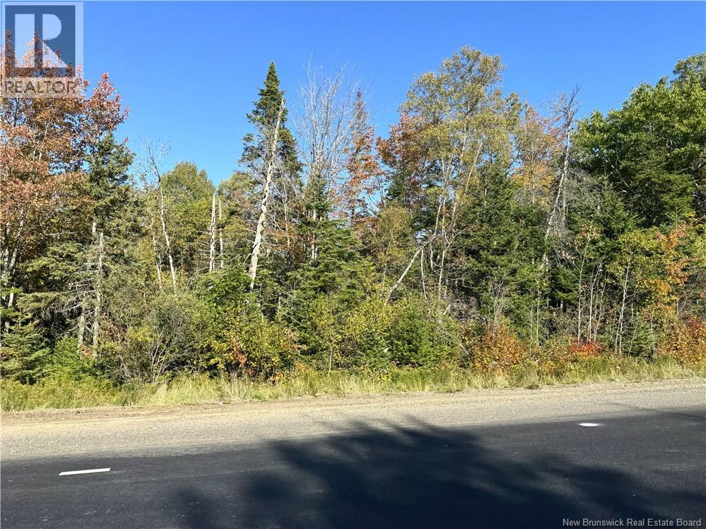 000 Route 3, Lawrence Station, New Brunswick E5A 3C5 - Photo 10 - NB148347