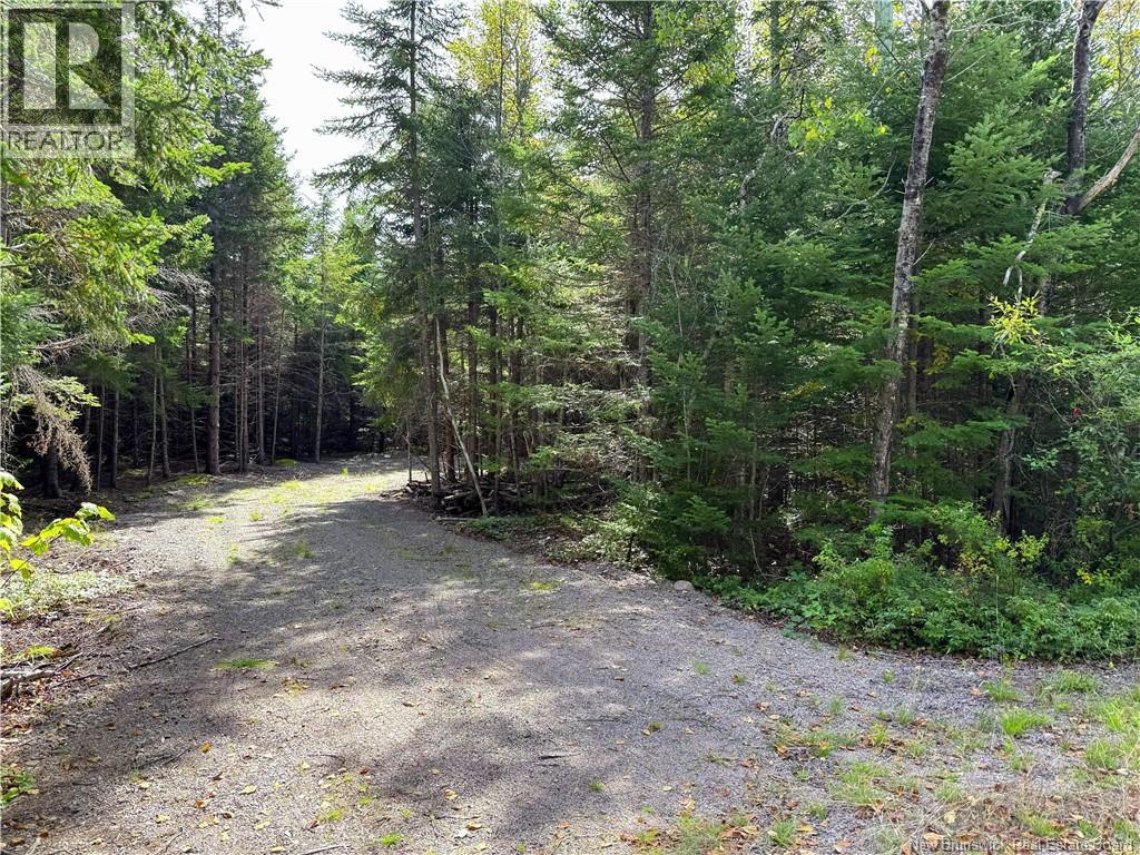 5 Spurline Avenue, Pennfield, New Brunswick  E5H 2J7 - Photo 4 - NB148424