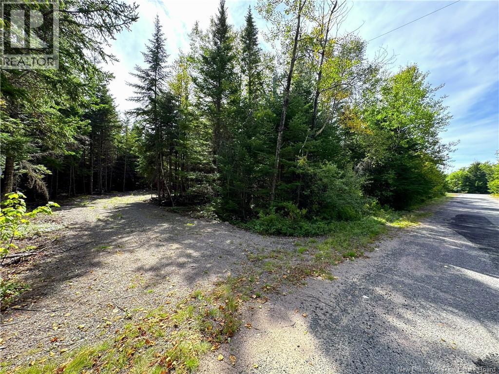 5 Spurline Avenue, Pennfield, New Brunswick  E5H 2J7 - Photo 5 - NB148424
