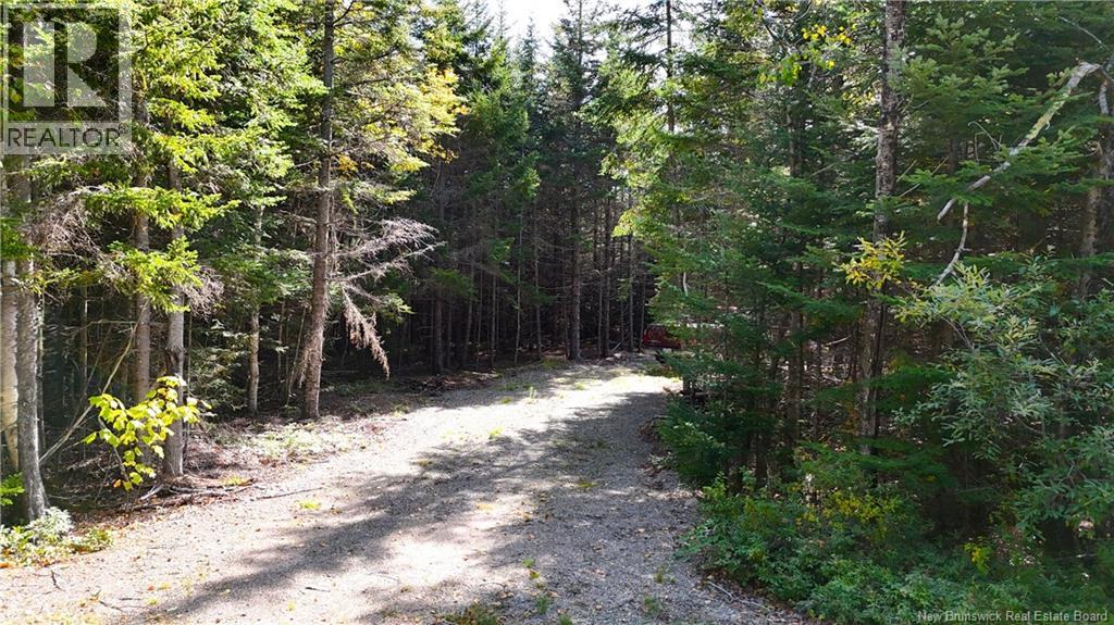 5 Spurline Avenue, Pennfield, New Brunswick  E5H 2J7 - Photo 6 - NB148424