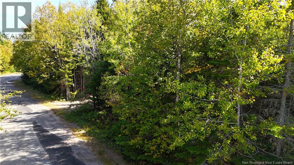 5 Spurline Avenue, Pennfield, New Brunswick  E5H 2J7 - Photo 7 - NB148424