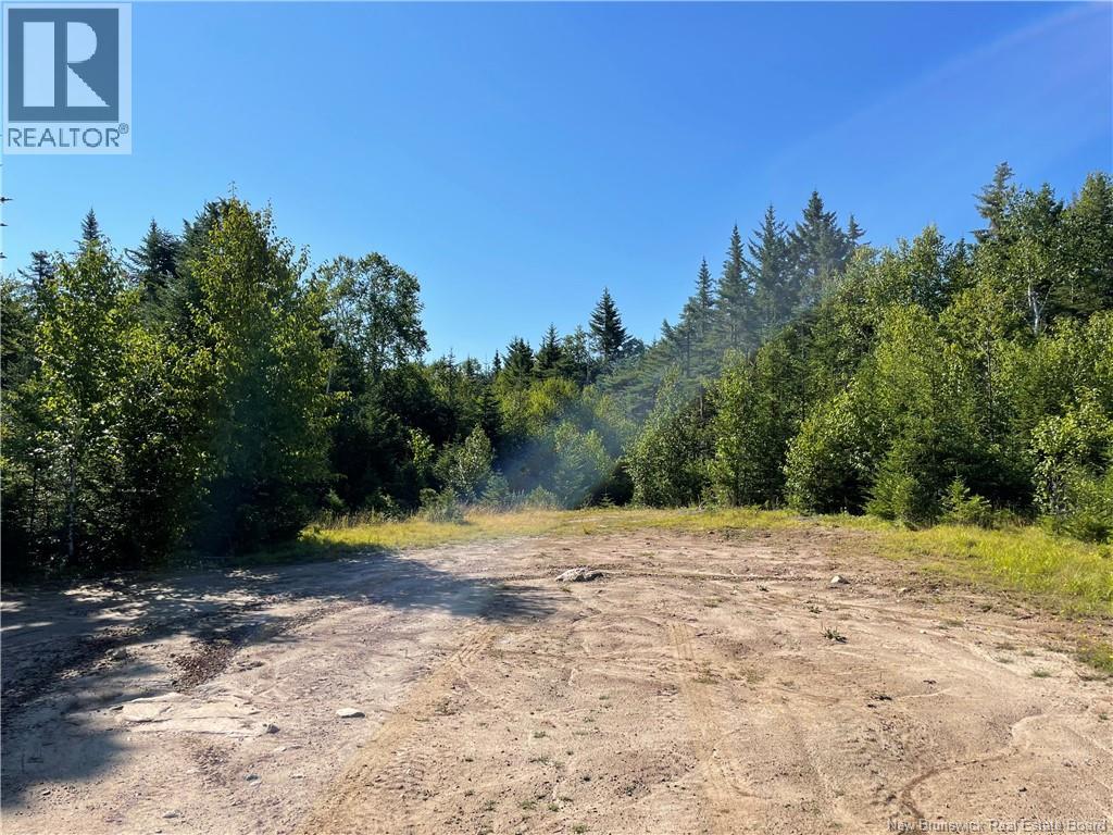 Edgar Lane Extension, Pennfield, New Brunswick E5A 1E2 - Photo 16 - NB148647