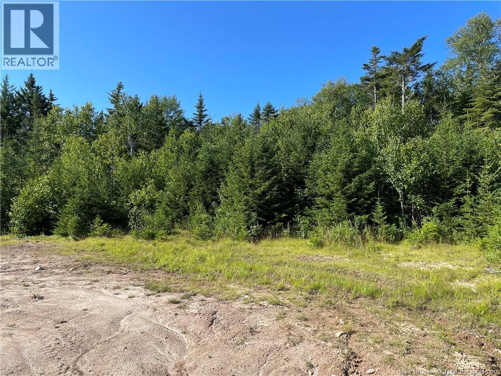 Edgar Lane Extension, Pennfield, New Brunswick E5A 1E2 - Photo 17 - NB148647
