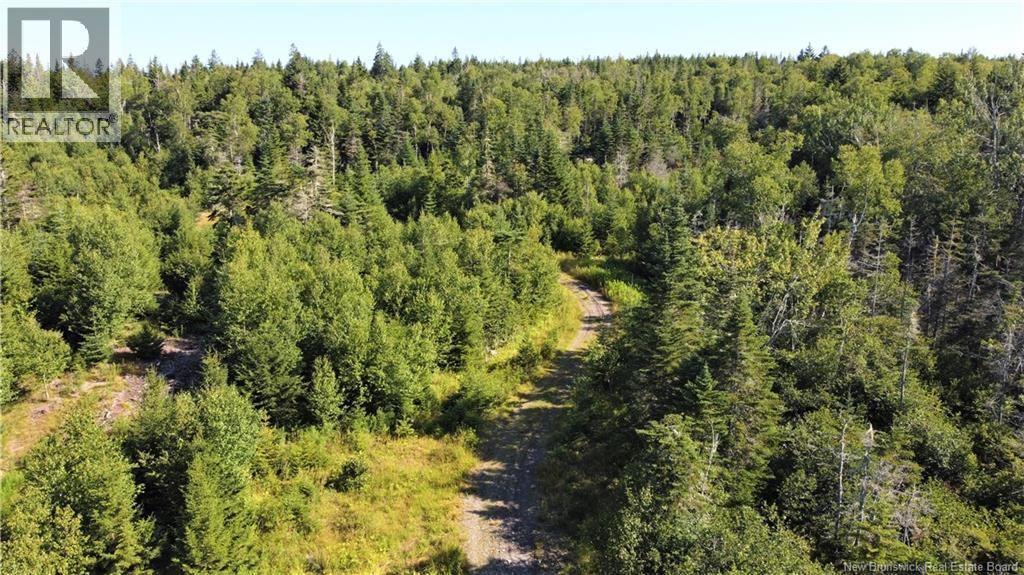 Edgar Lane Extension, Pennfield, New Brunswick E5A 1E2 - Photo 18 - NB148647
