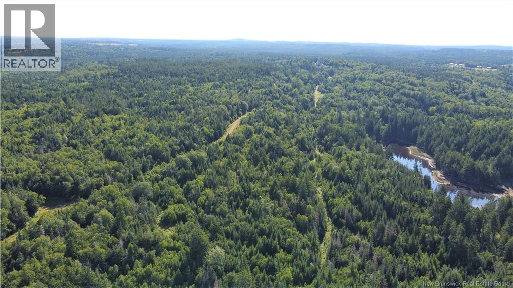 Edgar Lane Extension, Pennfield, New Brunswick E5A 1E2 - Photo 19 - NB148647