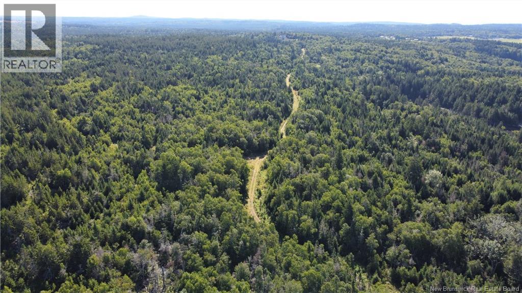 Edgar Lane Extension, Pennfield, New Brunswick E5A 1E2 - Photo 20 - NB148647