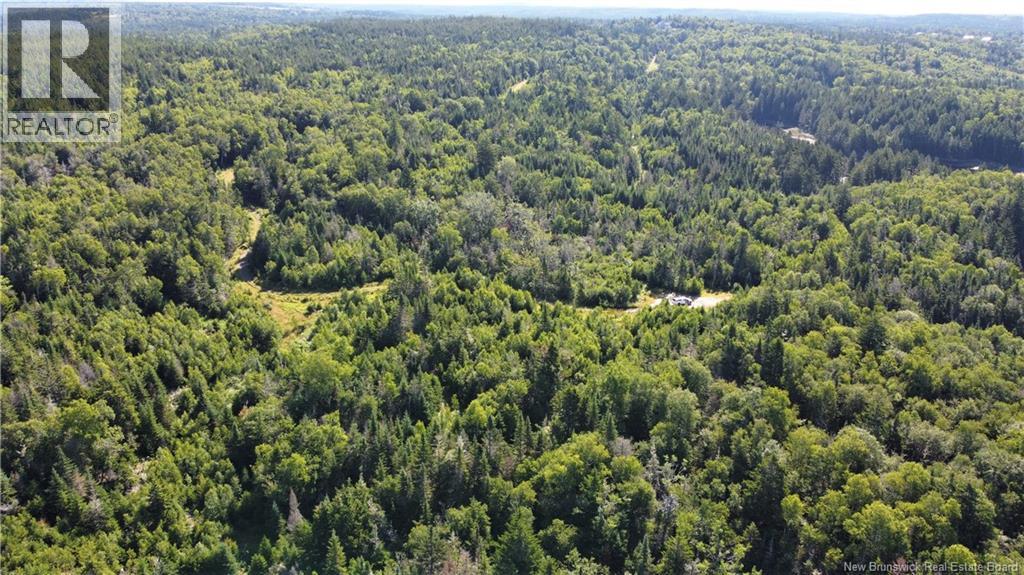 Edgar Lane Extension, Pennfield, New Brunswick E5A 1E2 - Photo 22 - NB148647