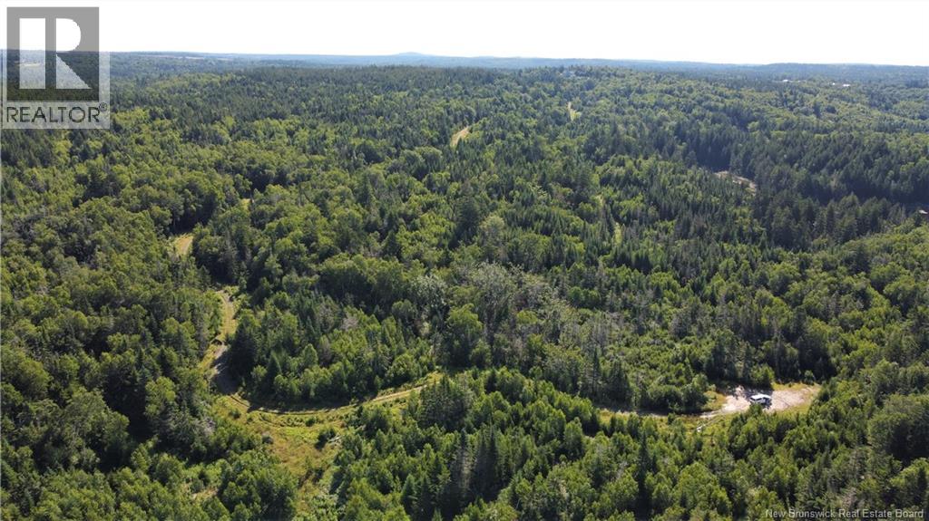 Edgar Lane Extension, Pennfield, New Brunswick E5A 1E2 - Photo 23 - NB148647