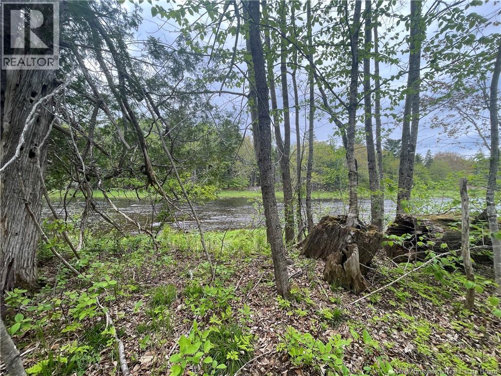 00 Mill Settlement Road, Hoyt, New Brunswick E5L 2H1 - Photo 27 - NB148659