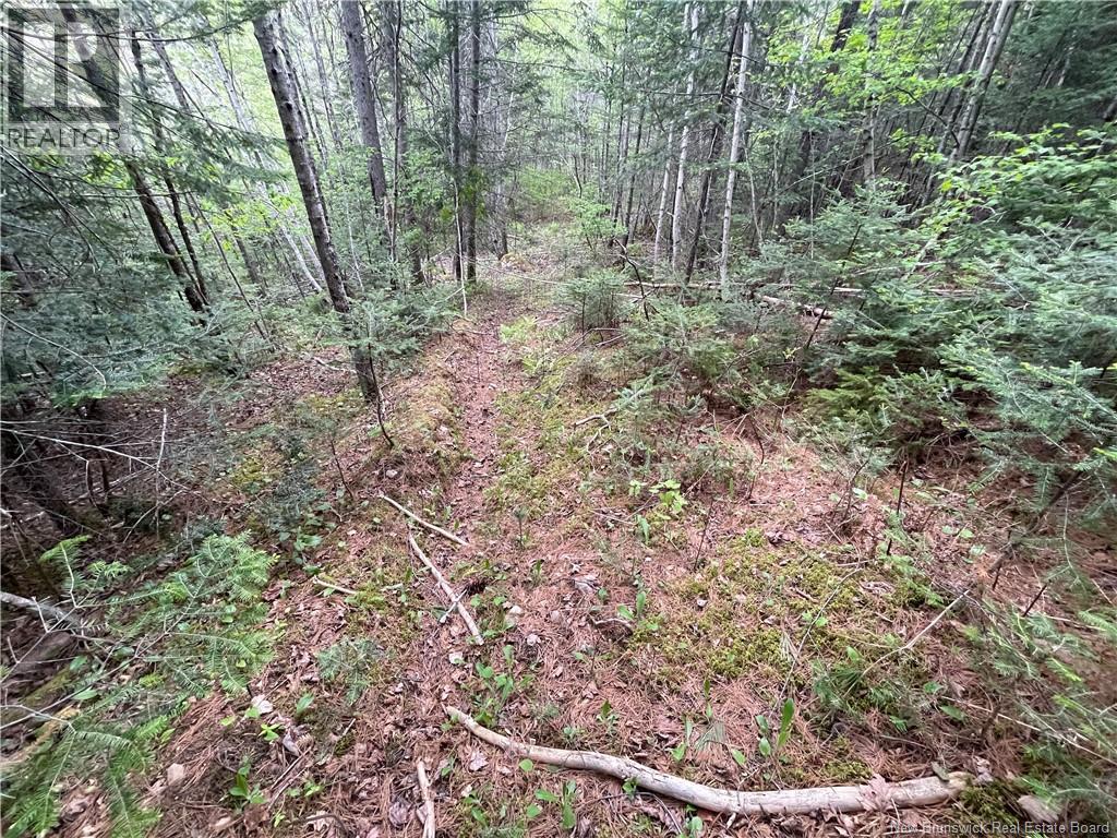 00 Mill Settlement Road, Hoyt, New Brunswick E5L 2H1 - Photo 29 - NB148659