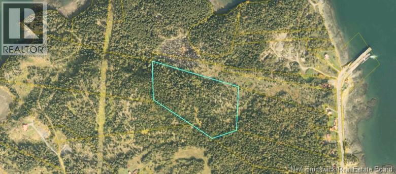 Vacant Land Route 772, Stuart Town, New Brunswick E5V 1H5 - Photo 6 - NB149086