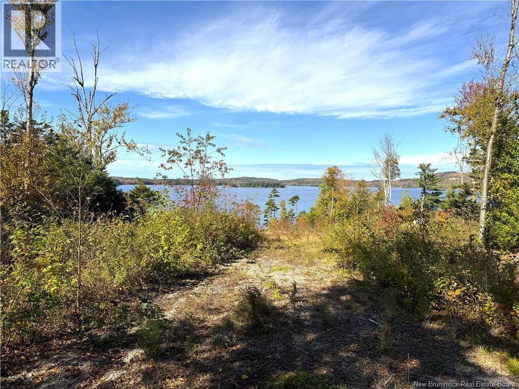 Bluff Road, Utopia, New Brunswick  E5C 0J4 - Photo 16 - NB149283