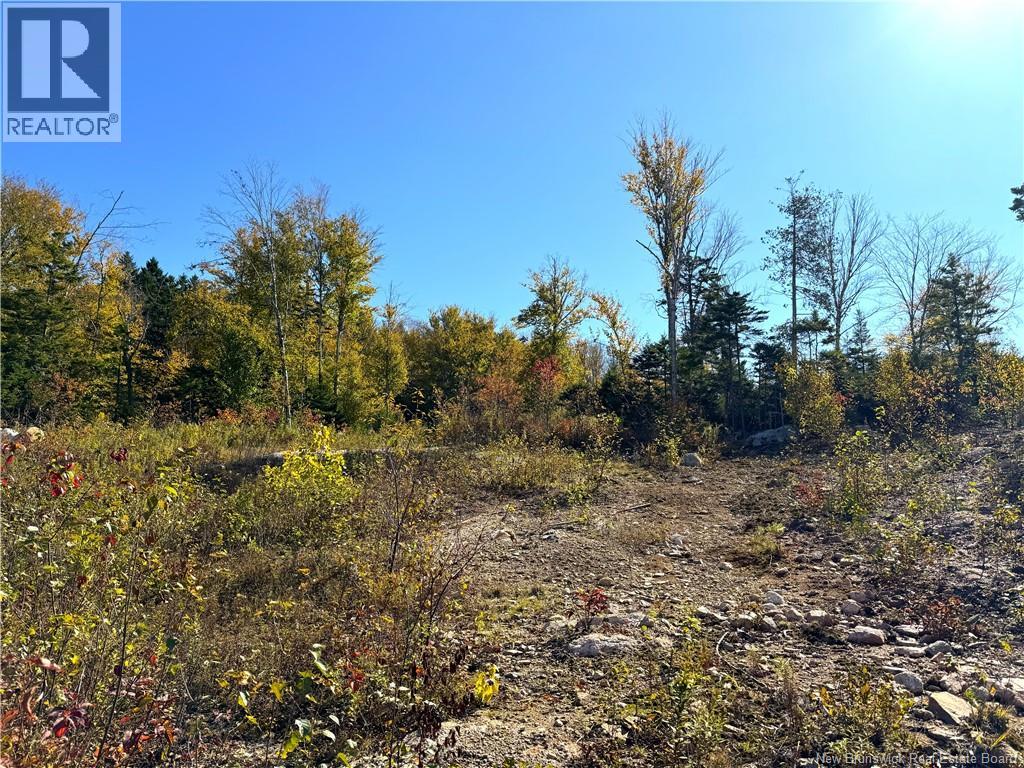 Bluff Road, Utopia, New Brunswick  E5C 0J4 - Photo 20 - NB149283