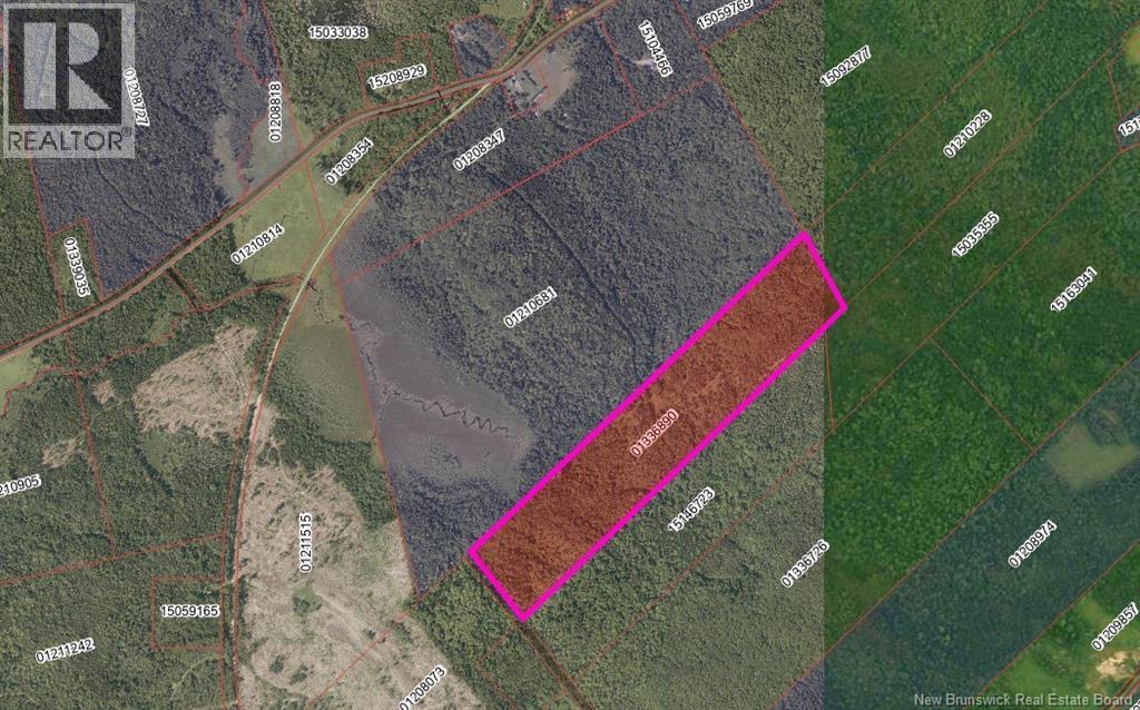 000 Meadow Lane, Dumbarton, New Brunswick  E5A 2Z8 - Photo 2 - NB149288