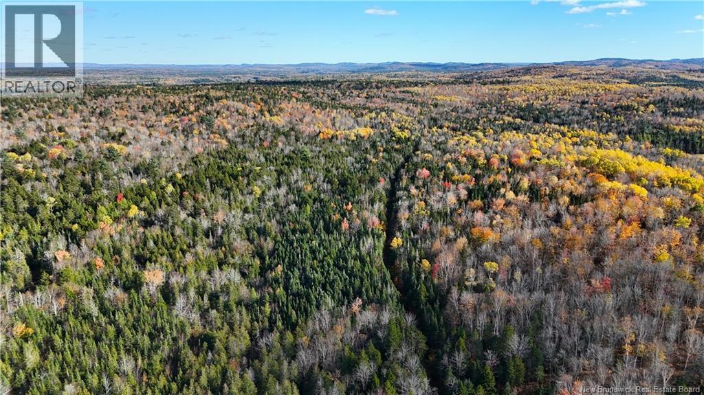 000 Meadow Lane, Dumbarton, New Brunswick  E5A 2Z8 - Photo 3 - NB149288