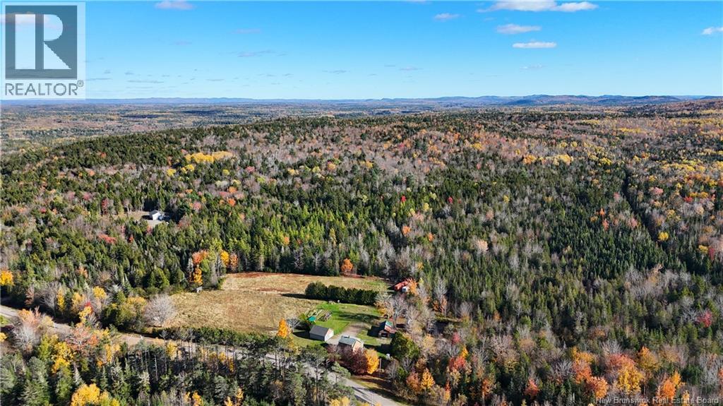000 Meadow Lane, Dumbarton, New Brunswick  E5A 2Z8 - Photo 6 - NB149288